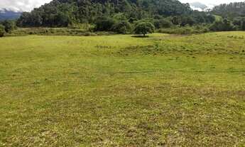 Imagem: Fazenda/Sítios/Chácaras