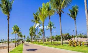 Imagem 6: TERRENO RESIDENCIAL em MATA DE SÃO JOÃO - BA, SAUÍPE