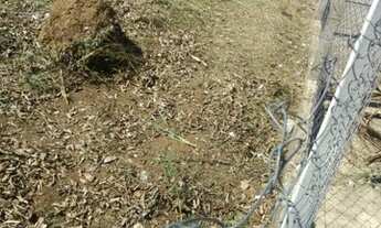 Imagem 3: Lindo Terreno de Esquina Plano no Jd. das Orquideas em Americana