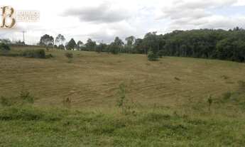 Imagem 3: Excelente área em Cotia