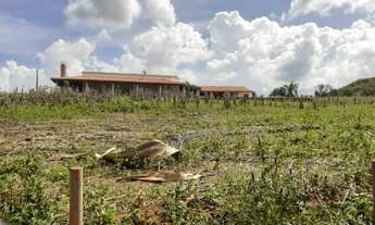 Imagem 3: Excelente Sítio 13,5 Alqueires