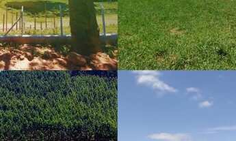 Imagem: Adquira seu terreno dos sonhos por um preço