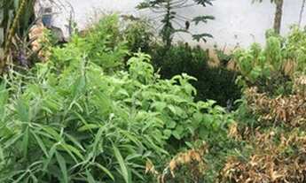 Imagem 7: Terreno à venda, Terra Preta (Terra Preta), Mairiporã, SP