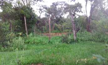 Imagem 6: Sitio 11 Hectares!! Poço Próprio!!Pastagem!!Casa Sede!!!20 km MAJOR PRATES!!