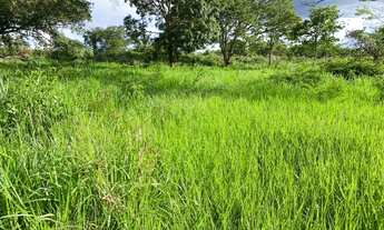 Imagem 2: Sitio 108 hectares Guiratinga Mato Grosso