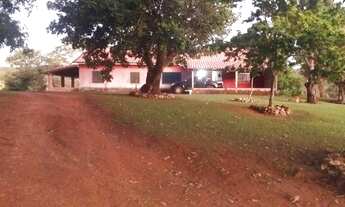 Imagem 2: VENDO SITIO EM CAJURU 14,5 ALQUEIRE