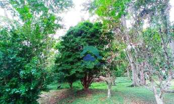 Imagem 7: Maravilhoso sítio em Teresópolis- RJ