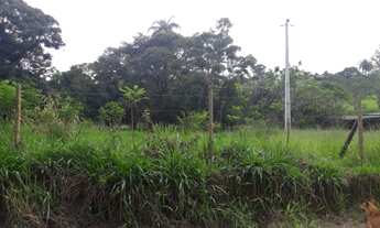 Imagem: Chácara no Flores e Florestas