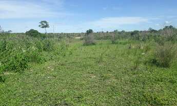 Imagem: Fazenda com 240 hectares no córrego de