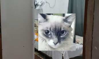 Imagem 5: Excelente casa ?