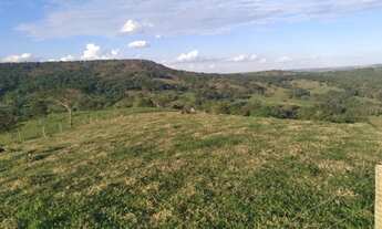 Imagem 4: Chácara de 3 alqueires e 60 litros para cria