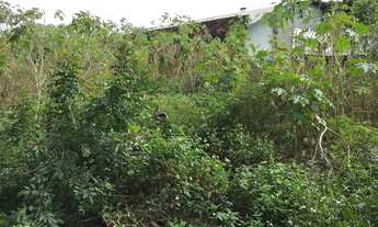 Imagem 5: Porto Alegre - Terreno Padrão - Sarandi