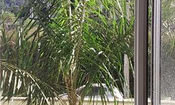 Imagem 7: Apartamento para venda possui 48 metros quadrados com 2 quartos em Areias - São José - SC