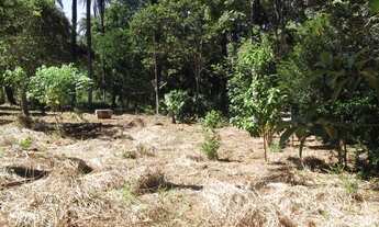 Imagem 3: Fazendinha 20.000m² com rio nos fundos ideal para pescar e nadar, Jaboticatubas(Temos vari