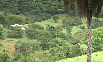 Imagem 1: Chácara de 3 alqueires e 60 litros para cria