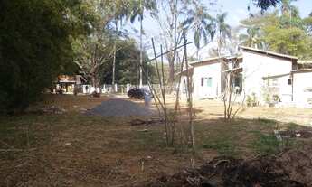 Imagem 1: Juiz de Fora - Casa Padrão - Milho Branco