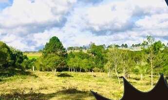 Imagem: Terreno com acesso pela rodovia bunjiro