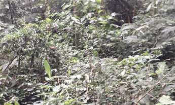 Imagem 6: Chácara para investimento aceito troca