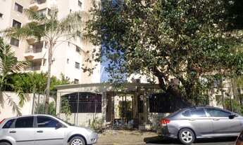 Imagem: Apartamento - Cambuí - Campinas