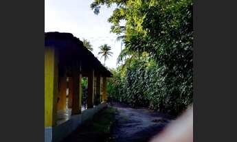 Imagem 6: Chácara com 2400 mt