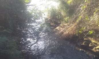 Imagem 4: Chácara 20 mil metros