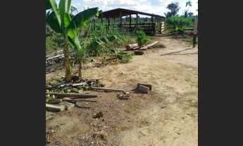 Imagem 2: Chacara 2 alqueire a venda