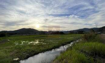 Imagem 3: Gaspar - Terreno Padrão - Lagoa