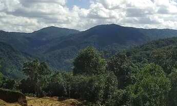 Imagem 3: Vendo sítio anitápolis SC 3000 m 40 de frente 75 de fundo