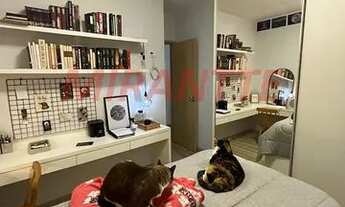 Imagem 6: EXCELENTE APARTAMENTO, EM ÓTIMA LOCALIZAÇÃO, PRÓXIMO AO METRÔ PARADA INGLESA- São Paulo S