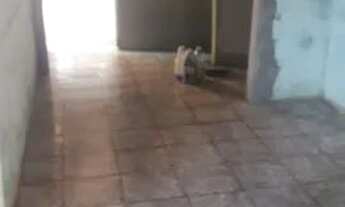 Imagem 3: Vende-se casa bairro São José