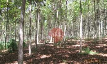Imagem 7: Fazenda com 1 dormitório à venda, 8820000 m² por R$ 22.000.000,00 - Centro - Buritizeiro/M