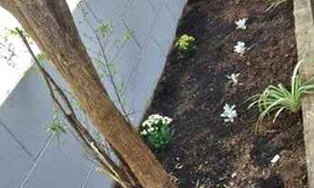 Imagem: VENDO CASA Jardim Satelite Construção