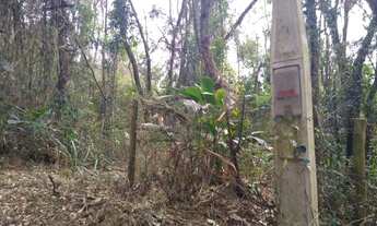 Imagem 2: Terra com água e nascente