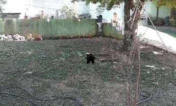 Imagem 2: Venda Residential / Home 4 Quarto(s)<br> 4 Vaga(s)<br> Chacara Cotia