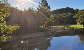 Imagem 2: Sítio na Colônia Santa Bernardina em Pelotas!