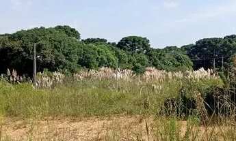 Imagem 7: Terreno de repasse fazenda rio grande