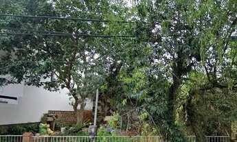 Imagem 4: Casa em Tristeza