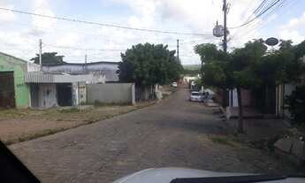 Imagem 6: Galpão com 45mts de comprimento (Quintas/KM6)