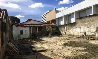 Imagem 6: Ampla casa em amplo terreno