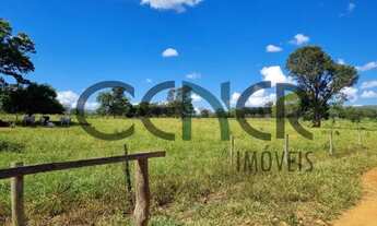Imagem 6: 2464 Ótima fazenda de 384 ha pronta para pecuaria e partes boa para lavouras