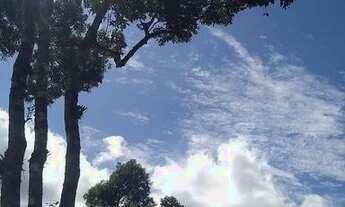 Imagem 5: Vendo sítio anitápolis SC 3000 m 40 de frente 75 de fundo