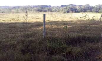 Imagem 4: Chácara Hidrolândia 3.000 M², Ótimo Local Para Morar, Plantar Produzir, com água encanada!