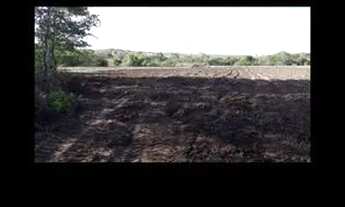 Imagem 6: Fazendinha Chácara com venda por R$280.000