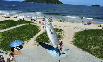 Imagem: Ótimo apartamento ventilado uma quadra