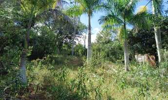 Imagem: Fazendinha barata 5 minutos de moc