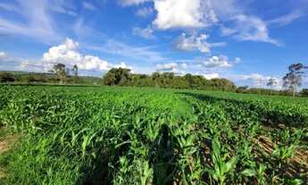 Imagem 3: Chácara Hidrolândia 3.000 M², Ótimo Local Para Morar, Plantar Produzir, com água encanada!