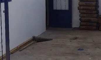 Imagem 4: Alugo casa quintais sorocaba