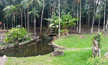 Imagem 6: Excelente chácara América de Cima- (Cód. 251