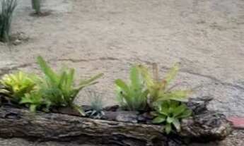 Imagem 6: Casa pé na areia frente para mar