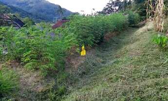 Imagem 5: Casa de Madeira Casa com 3 dormitórios